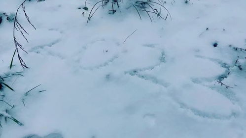 雨雪过后现暖阳