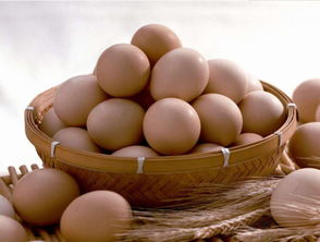 鸡蛋可以生吃吗 日本人生鸡蛋拌米饭,你敢不敢尝试 专家这样说