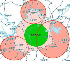 长江中游城市群发展规划的重点任务