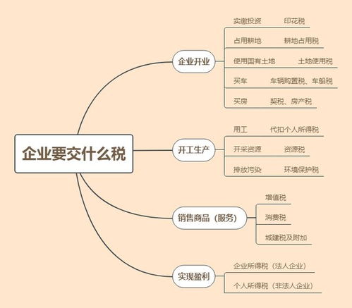 上个月忘记计提城建税及教育费附加，这个月直接交了，怎么处理，用补提吗