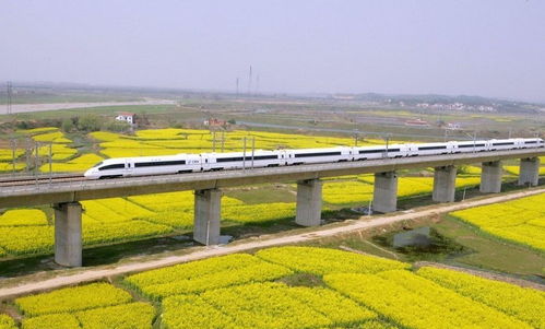 中国耗资4200亿,修建世界上最长的高铁,贯穿南北七省