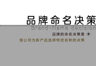 走国际化资本道路提升我国企业的品牌竞争力,品牌取名知识