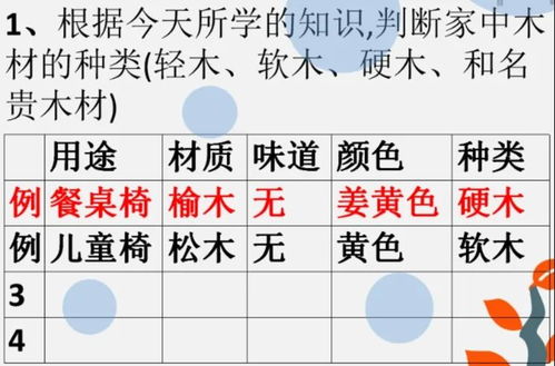 学科齐发力 教师展慧心 初中学部学科课程 亮绝活