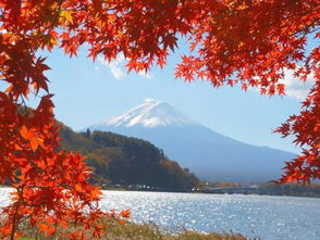 日本 富士山 秋天 红叶壁纸 米粒分享网 Mi6fx Com