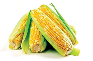 生产玉米最多的上市公司是哪个国家