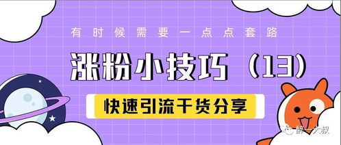 什么是网络推广引流