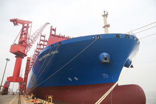 中国造超大型集装箱船 中远海运室女座 号命名交付 