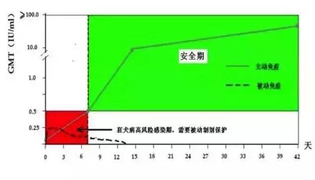 咬伤后,狂犬病免疫球蛋白要不要打 