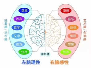 由 露珠 寓言引发对科学 艺术 哲学的思考