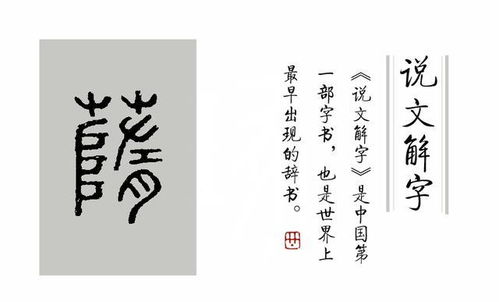 说文解字 第83课 看 芒 字的解释,你会更佩服司马迁