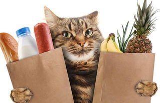 帮助猫咪去毛球的蔬菜,猫吃蔬菜能帮助猫咪吐毛球吗