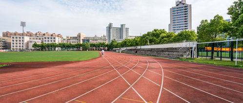 安徽机电职业技术学院(合肥经济技术职业学院地址)