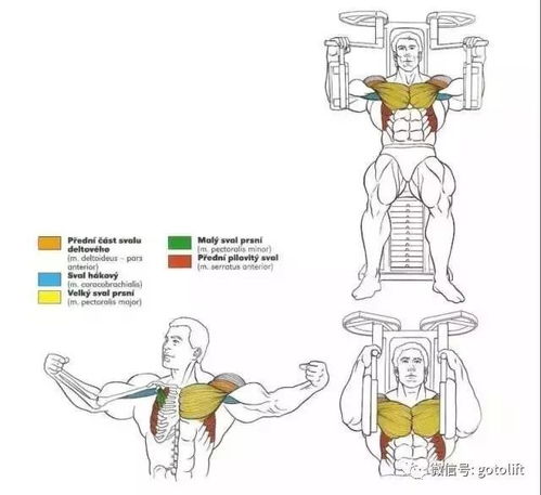 别再瞎练了 这56张图告诉你健身每个部位该怎么练 