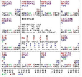 求紫微斗数高人看此流年盘 