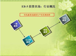 eb5投资移民 新西兰的投资移民条件