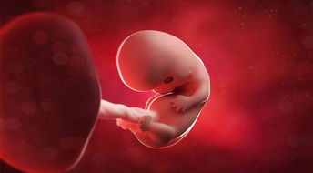 原创孕中期是关键期，这3件事孕妈做对了，有利自己的身体和胎儿发育