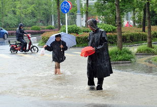 江苏扬州遭遇暴雨 公路上演 浑水摸鱼 