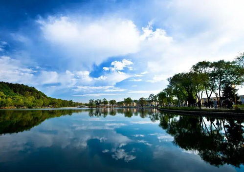 敲黑板 吉林市夏季文旅宣传语征集令