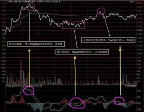 怎样做t十0股票 你好我的股票已经套了30个点了，要怎么解套，怎么做T+0