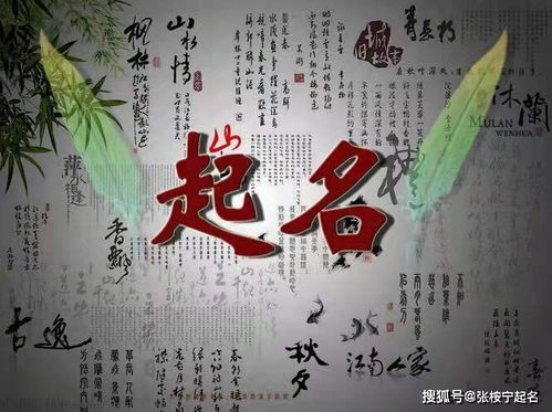 出自道德经的好名字有内涵