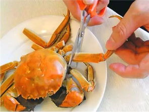 秋天以吃螃蟹为最隆重之事,作为吃货如何 优雅 地消灭一只大闸蟹