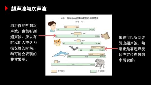 2.2声音的特性 共25张PPT 