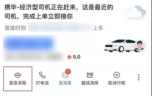 快狗搬家小搬能装多少