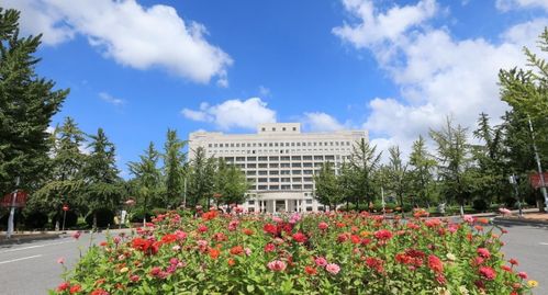 东北财经大学教务处(东北财经大学教务处学生入口地址)