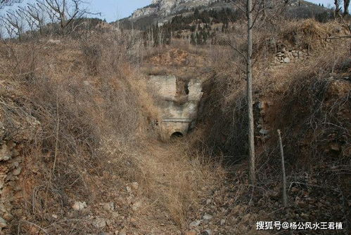 济南王爷陵寝是不是真正的风水宝地,风水大师王君植实地风水考证