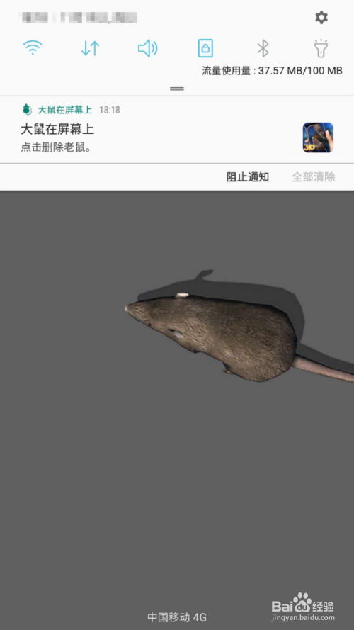 手机屏幕上怎么养老鼠 