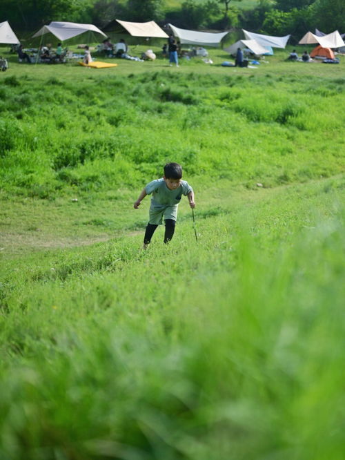 杭州6个免费野营地,太适合遛娃遛狗了吧 