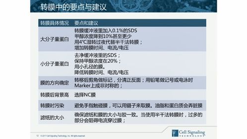 解决尔雅查重高的问题：方法与策略