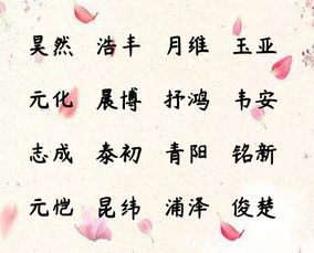 不能盲目起名字,简洁文雅的宝宝名字大全