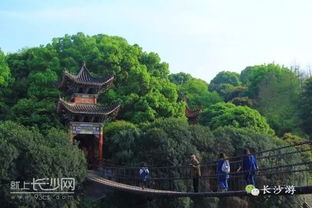 长沙旅游景点大全（长沙旅游景点大全排名一日游）