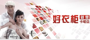 陈建斌代言衣柜品牌