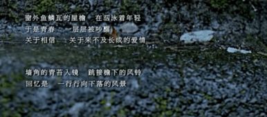 听见下雨的声音