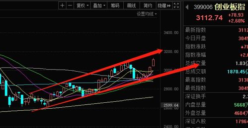 A股有哪些大消费类概念股