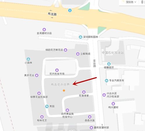 明天正式开市 2020年深圳各区迎春花市汇总攻略 看看有没有你家附近的