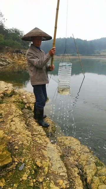 仔细看,抓到了一条大鲫鱼 