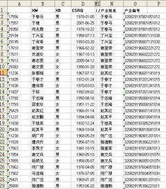 怎么通过EXCEL,筛选出户主姓名 谢谢 