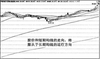 求几个每日波动较大的股