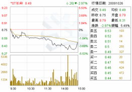 长岭（集团）股份有限公司的发展概况