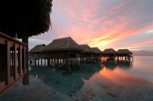 一生最难忘的美丽的地方 大溪地 TAHITI