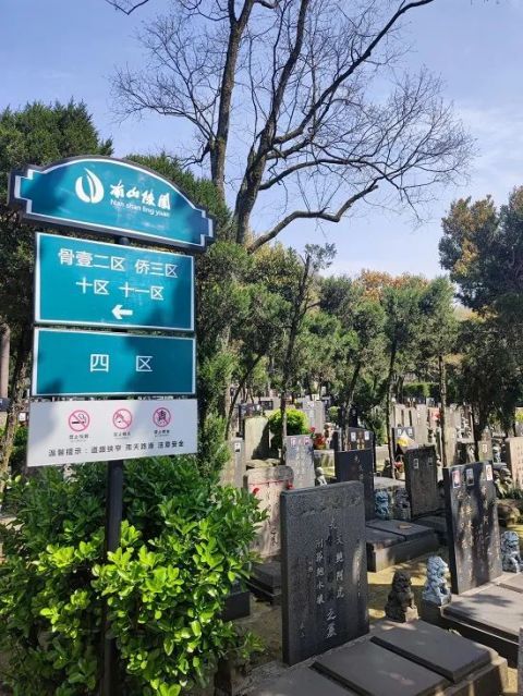 尴尬,清明扫墓却找不到墓 杭州一陵园上线 墓穴导航 系统