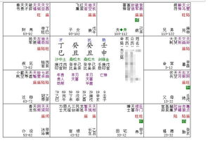 求高人紫薇星盘分析 多谢 