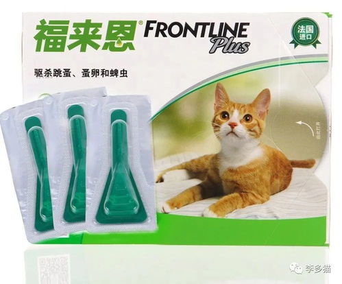 养猫必备 猫咪驱虫最全攻略 看这一篇就够了