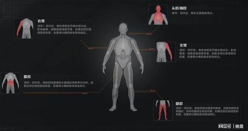 暗区突围怎么玩「试水暗区突围」