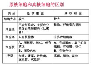 植物细胞与原核细胞共有的结构和统一性分别是什么？他俩有什么区别？