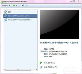 vm虚拟机怎么设置图形硬件(vmware桌面虚拟)