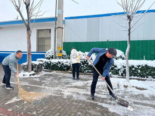 作业查重真相揭秘：老师这样做，学生该如何应对